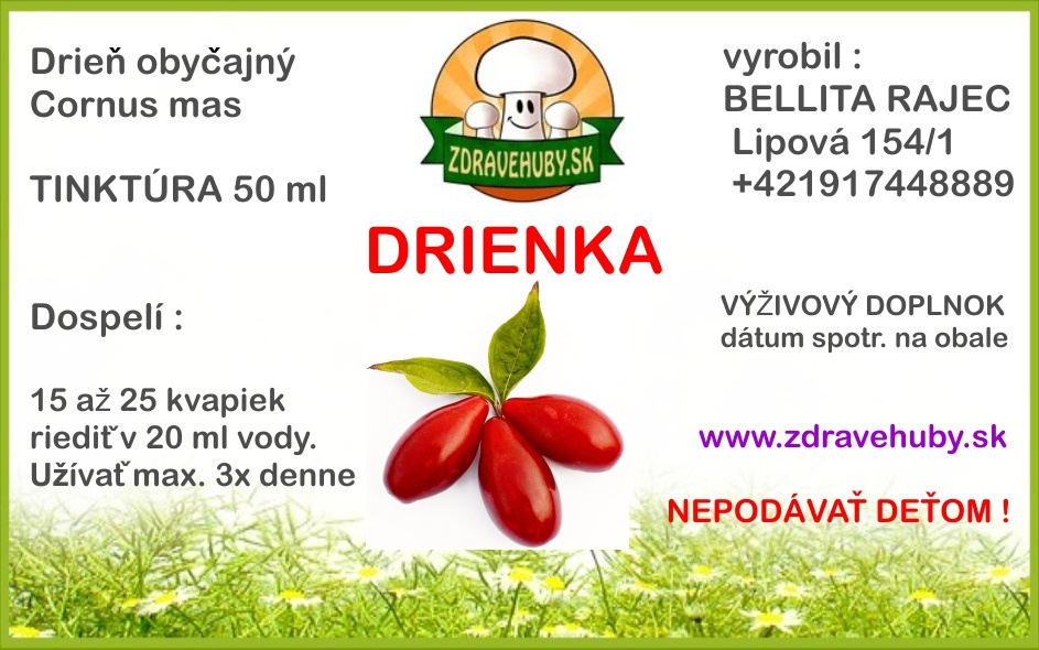 Drieň obyčajný - kvet